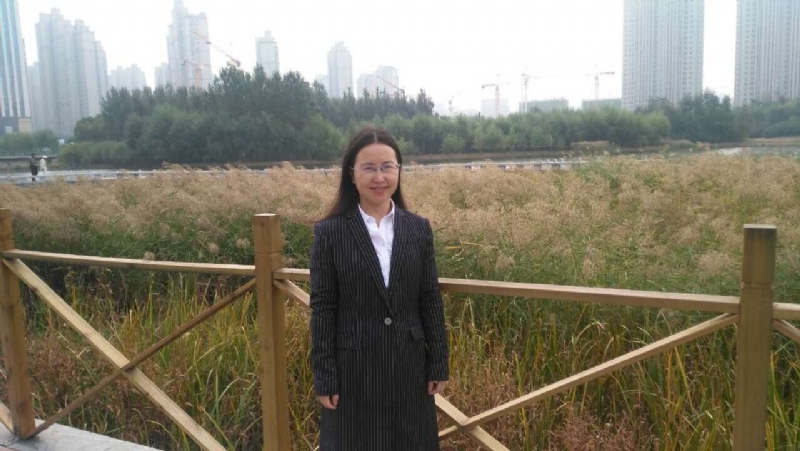 图片沈1.png